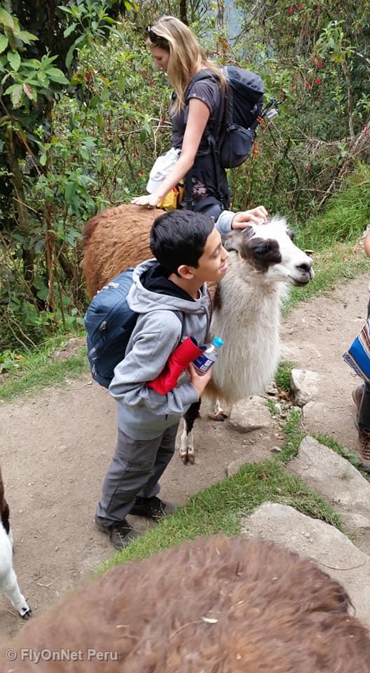 Photo Album: Machu Picchu